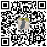 微信掃描關(guān)注